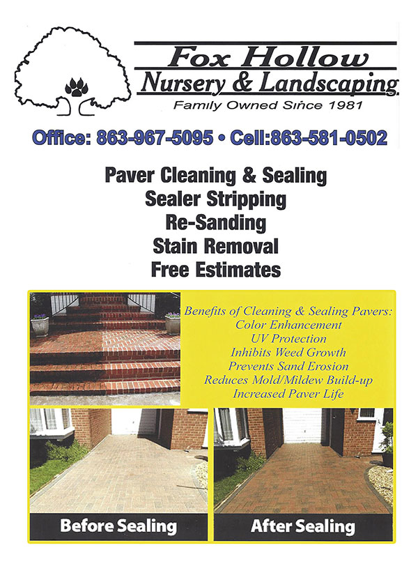 Brochure Pavers Cleaning Sealing & Installation