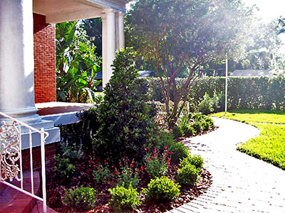 Landscape Design & Installation