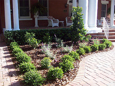 Landscape Design & Installation