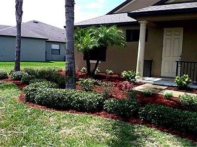 Landscape Renovations