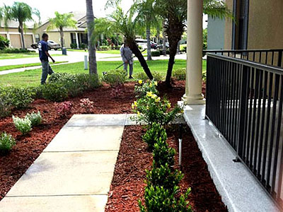 Landscape Renovations